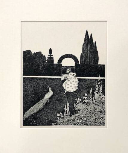 The Peacock
