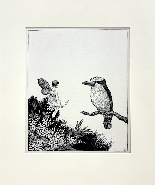 Chatting To A Kookaburra