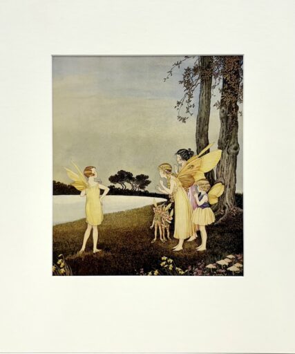 The Shingle In Fairyland