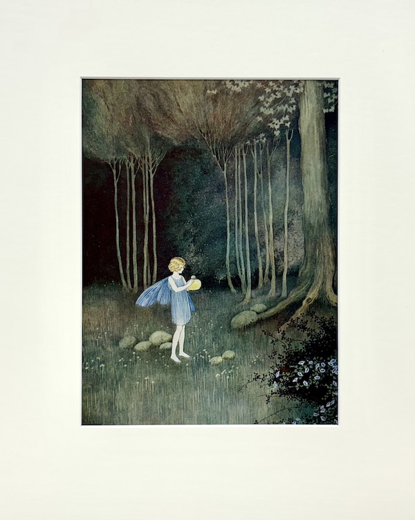 The Glow Lamp Fairy